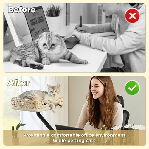 PAWZ Road Cat Desk Bed for Indoor Cats, Wicker Cat Bed for Desk Supports Up to - Image 4