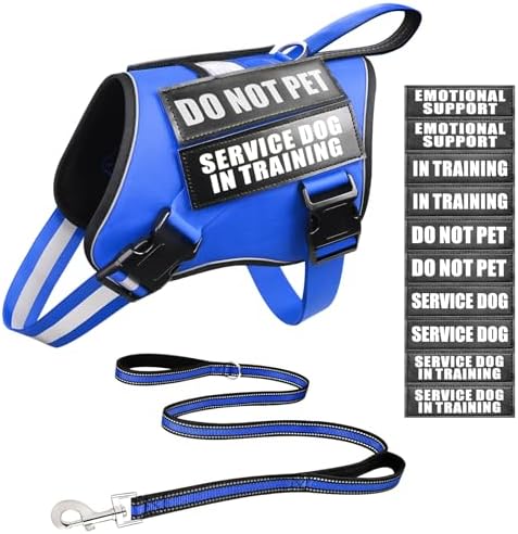 Service Dog Vest Harness and Leash Set+10 Patches, No Pull&Easy Walk Reflective by MOOGROUPETSFRIEND