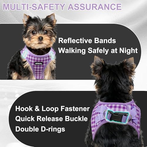 AIITLE Step in Small Dog Harness and Leash Set, Puppy Pet Vest - Image 4