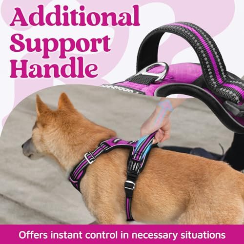 rabbitgoo Dog Harness for Large, No Pull 3 Buckles Easy On & Off - Image 4