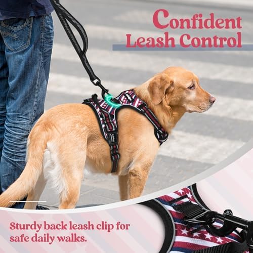 rabbitgoo Dog Harness, No Pull for Large Dogs - Image 6