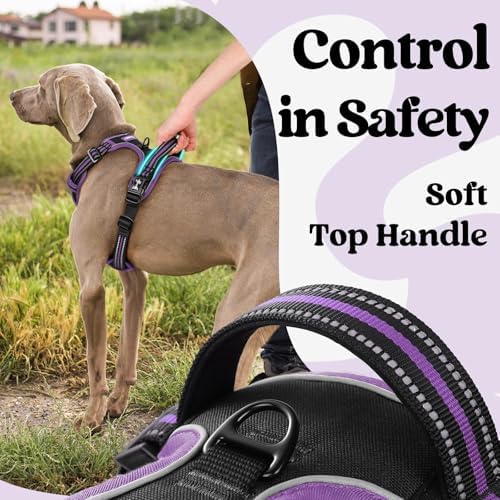rabbitgoo Dog Harness for Large, Updated Easy On & Off - Image 4