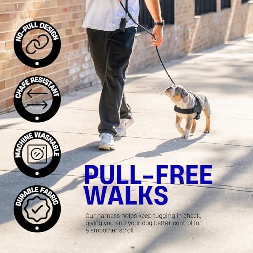 Dog Friendly Co. Dog Harness for Small Dogs - Image 7