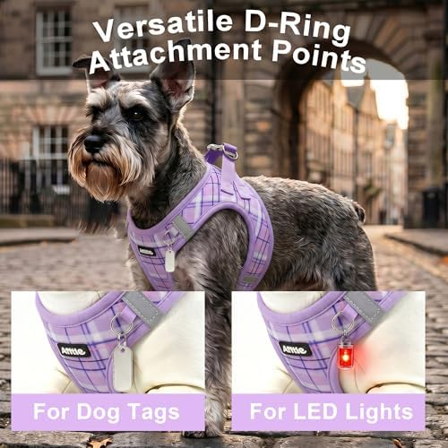 AIITLE Step in Dog Harness and Leash Set Plaid Adjustable - Image 3
