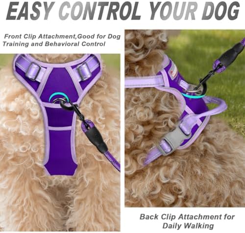 BARKBAY Dog Harness No Pull for Small Sized Dog Front Back Clips, Dog Vest - Image 2