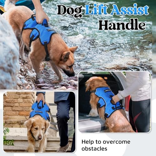 rabbitgoo Escape Proof Dog Harness - Image 4