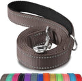 Joytale Reflective Dog Leash for Medium & Large Dogs, 5 FT x 1" by Joytale