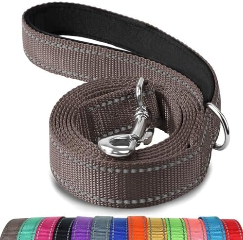 Joytale Reflective Dog Leash for Small Dogs, 6 FT x 3/4" by Joytale