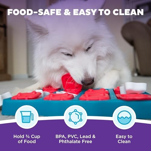 Outward Hound Nina Ottosson Dog Brick Dog Toy Treat Puzzle - Image 5