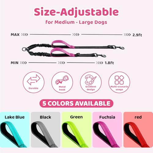 Double Dog Leash - Image 2