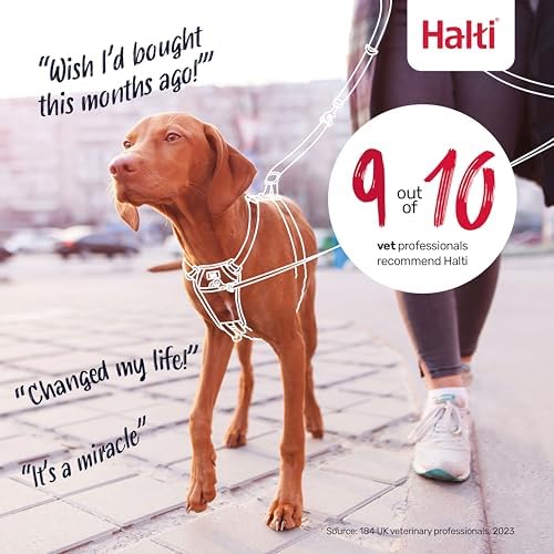 Halti No Pull Dog Harness | Size S - Image 6