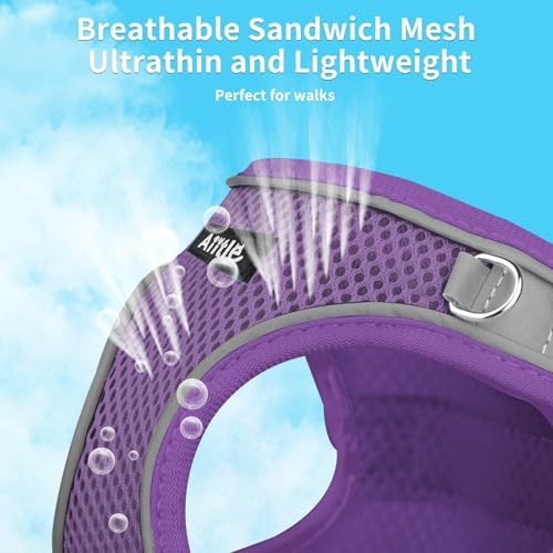 AIITLE Dog Harness and Leash Set, Step-in Puppy Pet Vest, Pure Purple XXS - Image 3