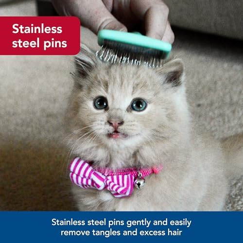 Coastal Pet Lil Pals Kitten Slicker Brush - Image 3
