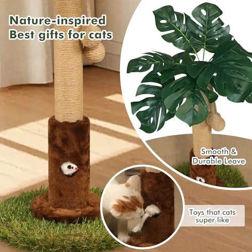 Woochpet 25" Kitten Scratching Post, sisal cat Scratcher Tree - Image 3