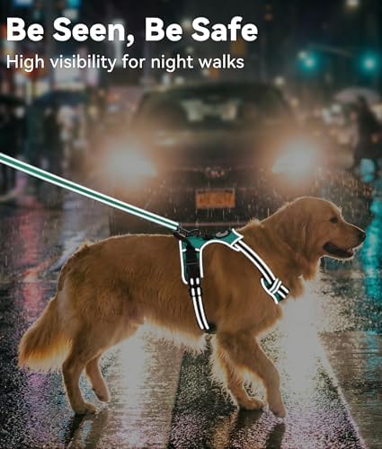Joytale No Pull Dog Harness Medium Sized Dog, Front Clip - Image 5