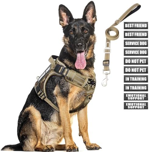 Tactical Dog Harness and Leash Set by MOOGROUPETSFRIEND