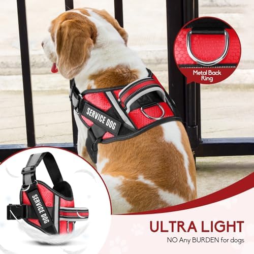 Service Dog Vest Harness and Leash Set, Animire in Training Dog Harness - Image 2