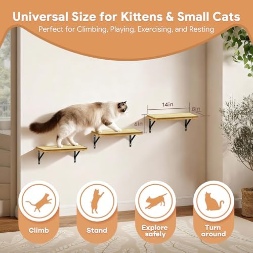 3Pcs 14"×8" Large Cat Wall Shelves - Image 3