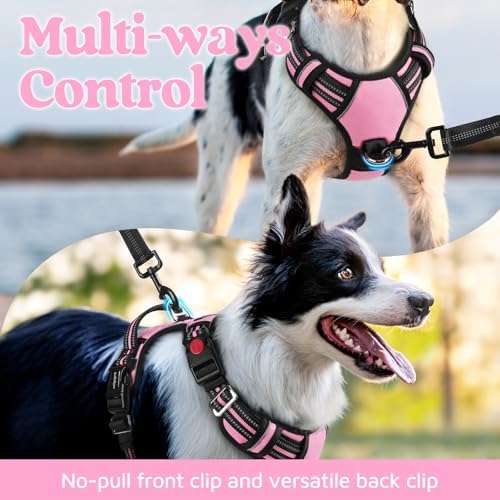rabbitgoo Dog Harness Small Sized, No Pull 3 Buckles Easy On & Off - Image 3