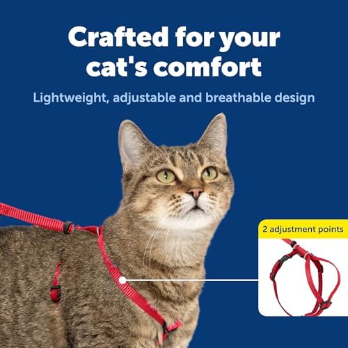 PetSafe Come With Me Kitty Harness and Bungee Leash, Harness - Image 5