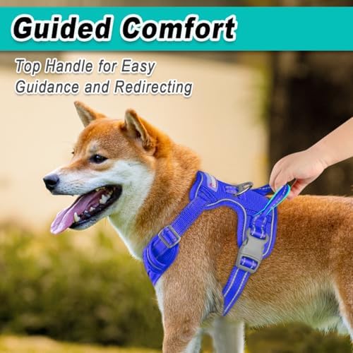 BARKBAY Dog Harness for Medium Sized Dog No Pull Mesh 2 Clips Dog Vest - Image 4