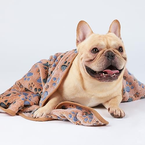 Luciphia Dog Blanket 3 Pack, Soft Cozy Fleece Throw - Image 5