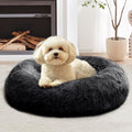 JOLLYVOGUE Calming Small Dog & Cat Bed by JOLLYVOGUE