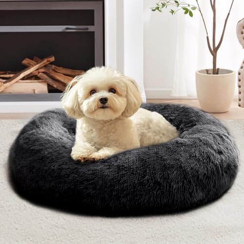 JOLLYVOGUE Calming Small Dog & Cat Bed by JOLLYVOGUE