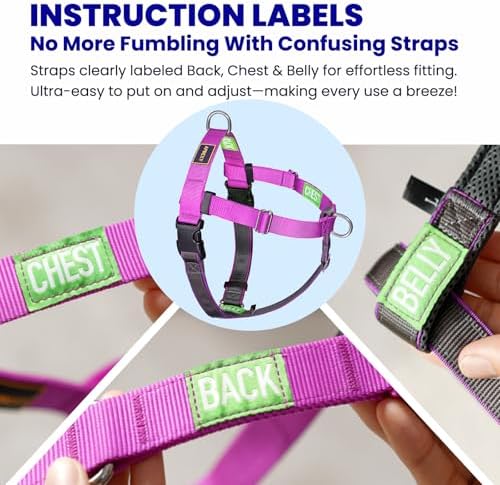 Freedom No Pull Dog Harness - Image 4