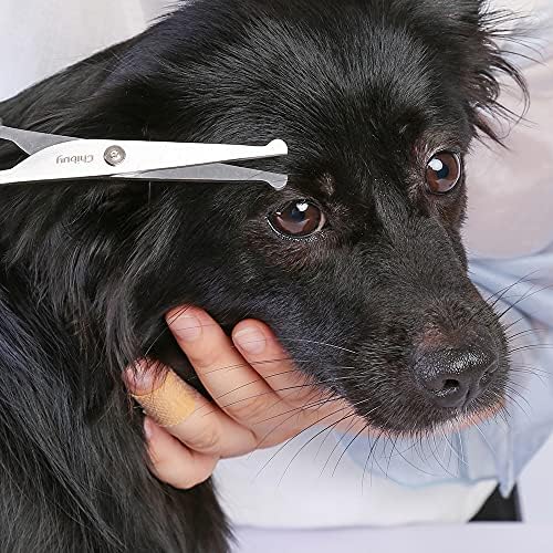 Chibuy Dog Grooming Scissors set - Image 6