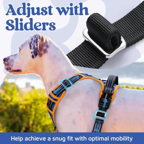 rabbitgoo Dog Harness Medium Sized, No Pull 3 Buckles Easy On & Off - Image 5