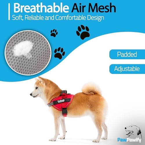 Custom No Pull Dog Harness - Image 4