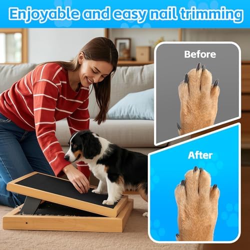 Pet Nail Self Adhesive Replacement Emery Paper - Image 4