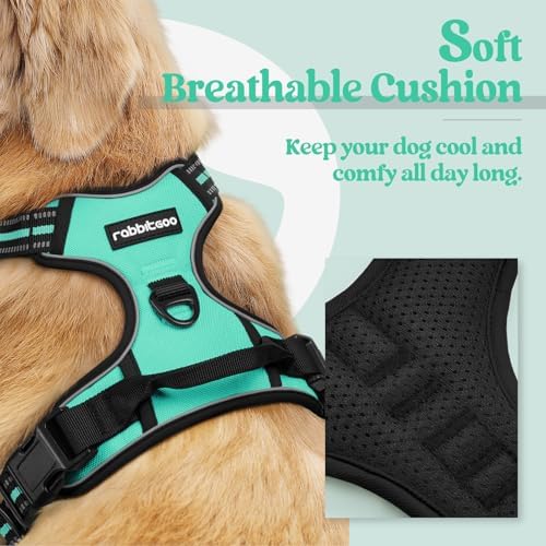 rabbitgoo Dog Harness, No Pull Medium Sized - Image 2