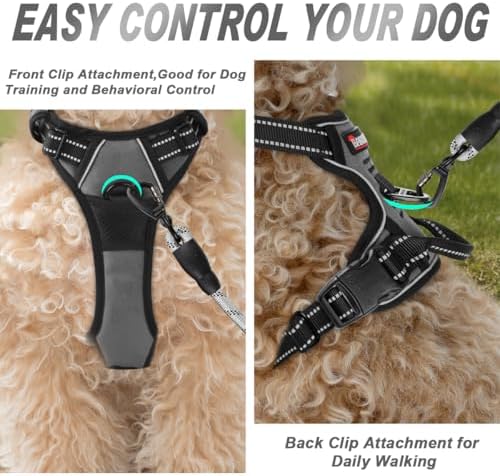 BARKBAY Dog Harness No Pull for Small Sized Dog Front Back Clips, Dog Vest - Image 2