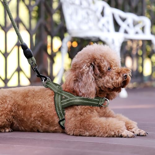 Plutus Pet No Pull Dog Harness for Large Dogs, Breathable Mesh Padded - Image 6