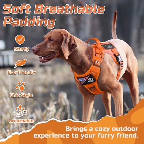 rabbitgoo Tactical Dog Harness for Small, No Pull Military Service Vest - Image 6