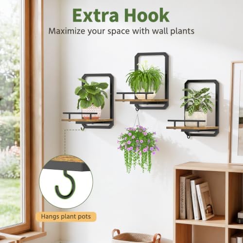 LASZOLA Plant Picture Frame Holder Shelf Wall Window Indoor - Image 4