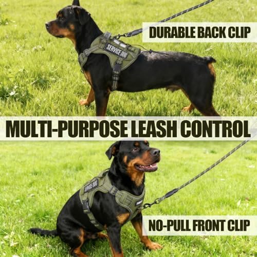 Dog Harness and Leash Set for Medium Dogs, No Pull Tactical Dog Harness - Image 6