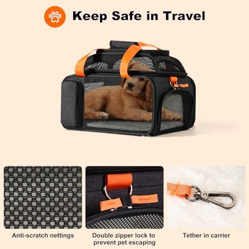 pidipiti 17x12.5x8.5 Soft-Sided pet Carrier, - Image 6