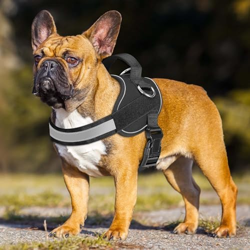 Haapaw Essential Dog Harness, No Pull Pet Vest - Image 3