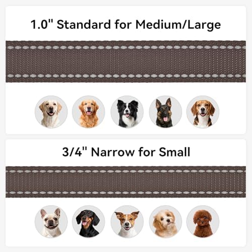 Joytale Reflective Dog Leash for Small Dogs, 4 FT x 3/4" - Image 6