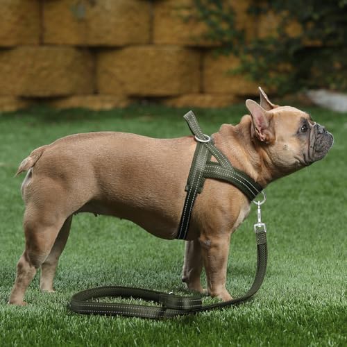 Plutus Pet No Pull Dog Harness for Large Dogs, Breathable Mesh Padded - Image 5