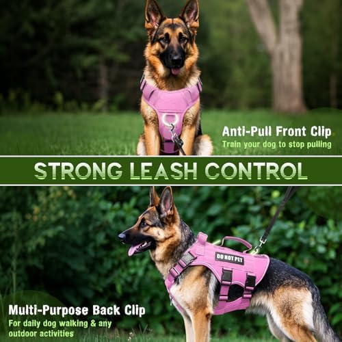 WINSEE Tactical Molle Vest Mesh Dog Harness - Image 3