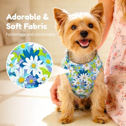 BAEJMJK Dog Harness and Leash Set - Image 3