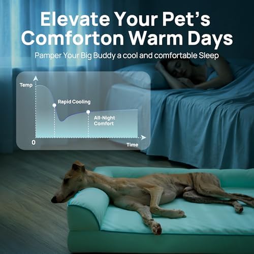 Cooling Dog Bed for Small, Medium Dogs & Cats - Image 2