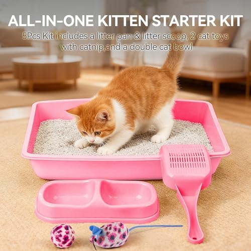 PAWISE Cat Litter Box Set, Small Kitten Starter Kit, Includes Litter Box - Image 2