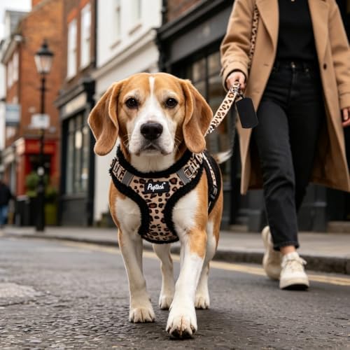 PUPTECK Dog Harness and Leash Set Small Sized, Step in No Pull Adjustable Puppy - Image 6