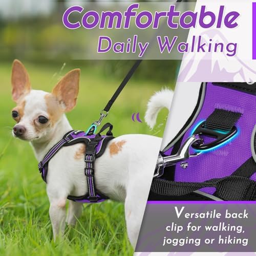 Eagloo Dog Harness for Small Dogs, No Pull Pet Vest - Image 4