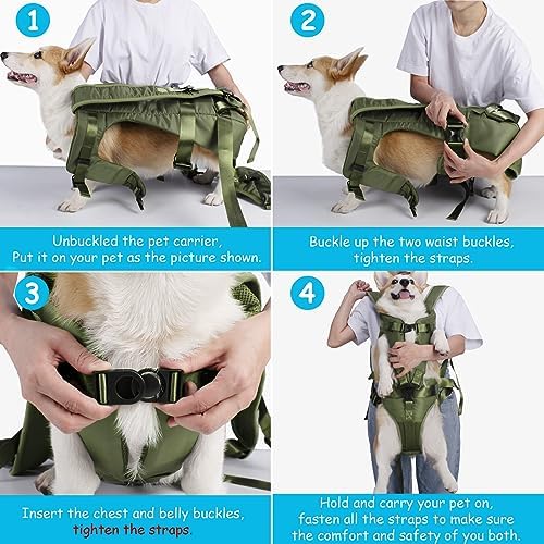 PetBonus Dog Front Carrier Backpacks, Legs Out Easy-fit Puppy Chest Carrier - Image 4